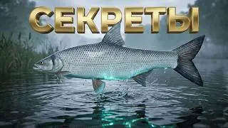 Secrets of catching asp on the Seversky Donets in RR4 | Russian Fishing 4