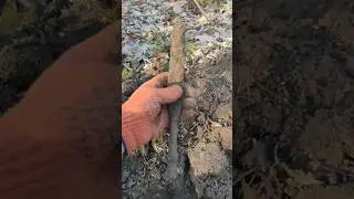 Знахідка ТОП🔥