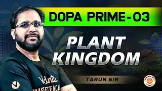 PLANT KINGDOM CLASS 11 | DOPA PRIME - 03 | NEET 2025 | BOTANY DOPA SOLUTION | BOTANY BY TARUN SIR