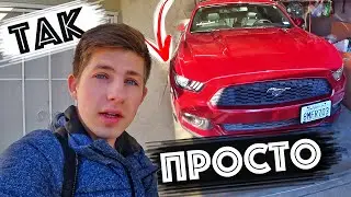 How Schoolchildren in America Pass Their Driver's Licenses / The American Schoolchild's Car
