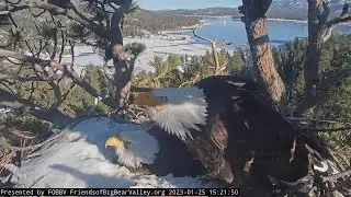 How to look vigilant