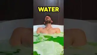 TURTLES in YOUR BATH 🐢🚽 #Shorts