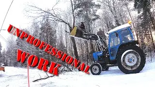 Removing a potentially dangerous tree