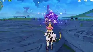 During Co-Op found a hacker in Genshin Impact
