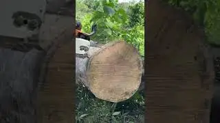 Stihl 038 clone cut test