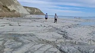 Beach walking in Kaikoura  with @kiwislivingthedream