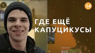 ТОП моменты с Twitch / stricter #14