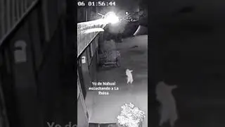 Yo de Nahual...Pónganme a 
