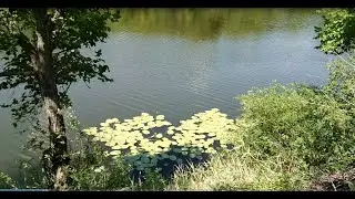 ОТДЫХАЕМ НА ОЗЕРЕ / РЫБАЛКА.
