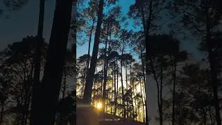 #uttarakhand #nature #mountains #naturebeauty #viral #trending  #sunset #sunrise #travel #traking