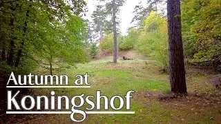 Autumn in Koningshof Estate - Walking in Zuid-Kennemerland National Park, the Netherlands | 4K