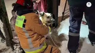 🔥Будни добровольцев🔥