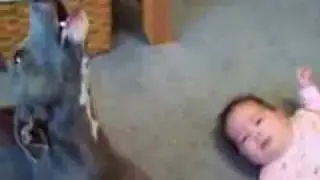 AMIGOS SON LOS AMIGOS.wmv