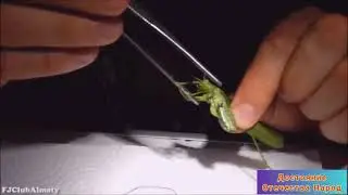 Что за твари или что за паразиты ...