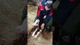 С пополнением нас☺