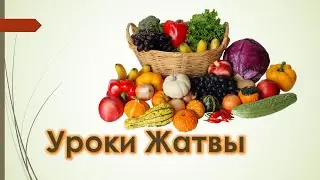 Уроки Жатвы: не момент, но 