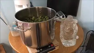 Obtaining aromatic feijoa water by vacuum distillation