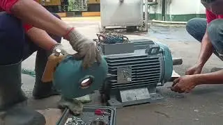 Test Run 30 HP. Induction Motor