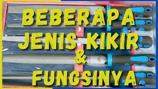 BEBERAPA JENIS KIKIR & FUNGSINYA