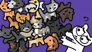 Where did all these cats come from???