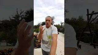 Чимаев разнесёт Усмана за 2 минуты, и вот почему.