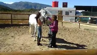 TAI Making off Ensaio fotográfico com cavalo