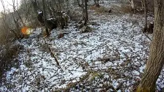ОХОТА НА ЗАЙЦА ПО ЧЕРНОТРОПУ