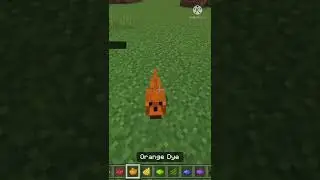 How to dye wolfs in Minecraft 