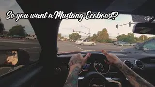 So you want a Mustang Ecoboost? (POV, Discussion, Mods, Exhaust Setup)