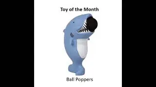 Ball Popper - Toy of the Month - The PROMPT Institute