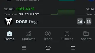 Dogs official Launching in 20 Minutes 26th July