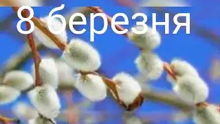 Ніжне привітання з 8 березня! Відео листівка