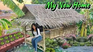 Storm Hit My House!! | How much will renovating the house in Thailand cost?