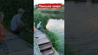 Рибалка на товстолоба, Панське озеро, Новоандріївка