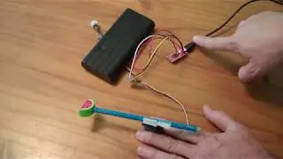 Motion activated / timed mechatronic servo