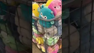 Squish hunting!! 