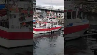 Small fishing boats. #shorts #fishingboat #hd #pixel9proxl