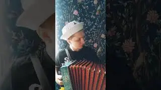 То не ветер ветку клонит на баяне 