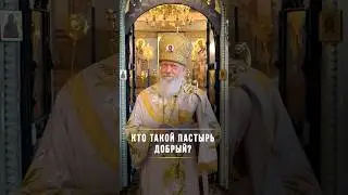 Кто такой пастырь добрый / Подписывайтесь на Telegram @BishopAugustine, ссылка в описании