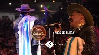MANOS DE TIJERA - CHRISTIAN HERRERA