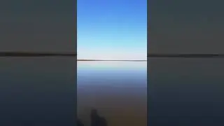 Идеальный штиль. Янский залив. Море Лаптевых.