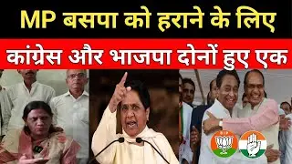 MP Politics: बसपा प्रत्याशी को हराने के लिए कांग्रेस और भाजपा ने मिलाया हाथ || यह रहा सबसे बड़ा सबूत