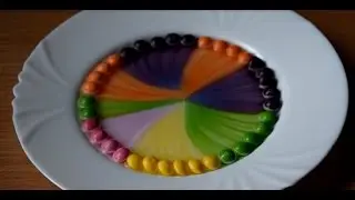 What Will Happen if You Put Skittles + Water | CRAZY SKITTLES RAINBOW | Experiment with Skittles