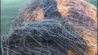 УАЗ Патриот против сена! Не повезло)))