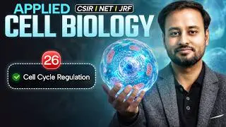 Cell Cycle Regulation | Applied Cell Biology | CSIR NET Dec. 2024 | Emotion 4.0 | IFAS
