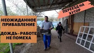ЖИЗНЬ В ДЕРЕВНЕ | КУПИЛ ЗАБРОШЕННЫЙ УЧАСТОК | НА ЗАВИСТЬ СОСЕДЯМ 