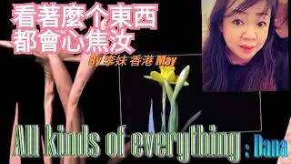 🐷🐷🐷  khon to mai kai tung si  tu boi sim ciau nyi🐖🐖🐖
