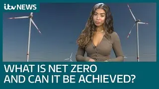 What does net zero mean and how can it be achieved? | ITV News