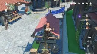 Genshin impact bug