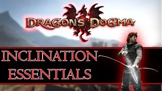 How To Reset Pawn Inclination & All You Need To Know About Inclinations